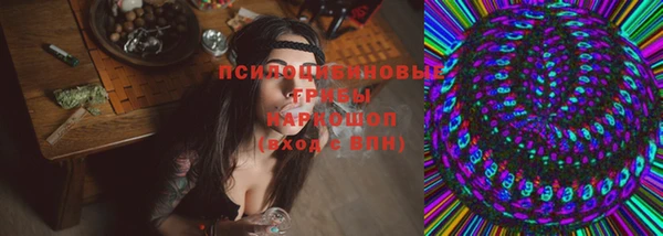 spice Корсаков