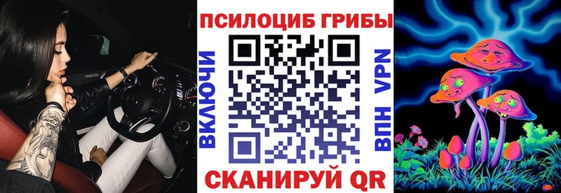 Псилоцибиновые грибы Psilocybe  Михайловка 