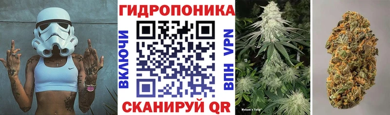 МАРИХУАНА планчик Михайловка